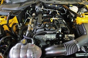 Mishimoto 2015 Ford Mustang EcoBoost engine bay