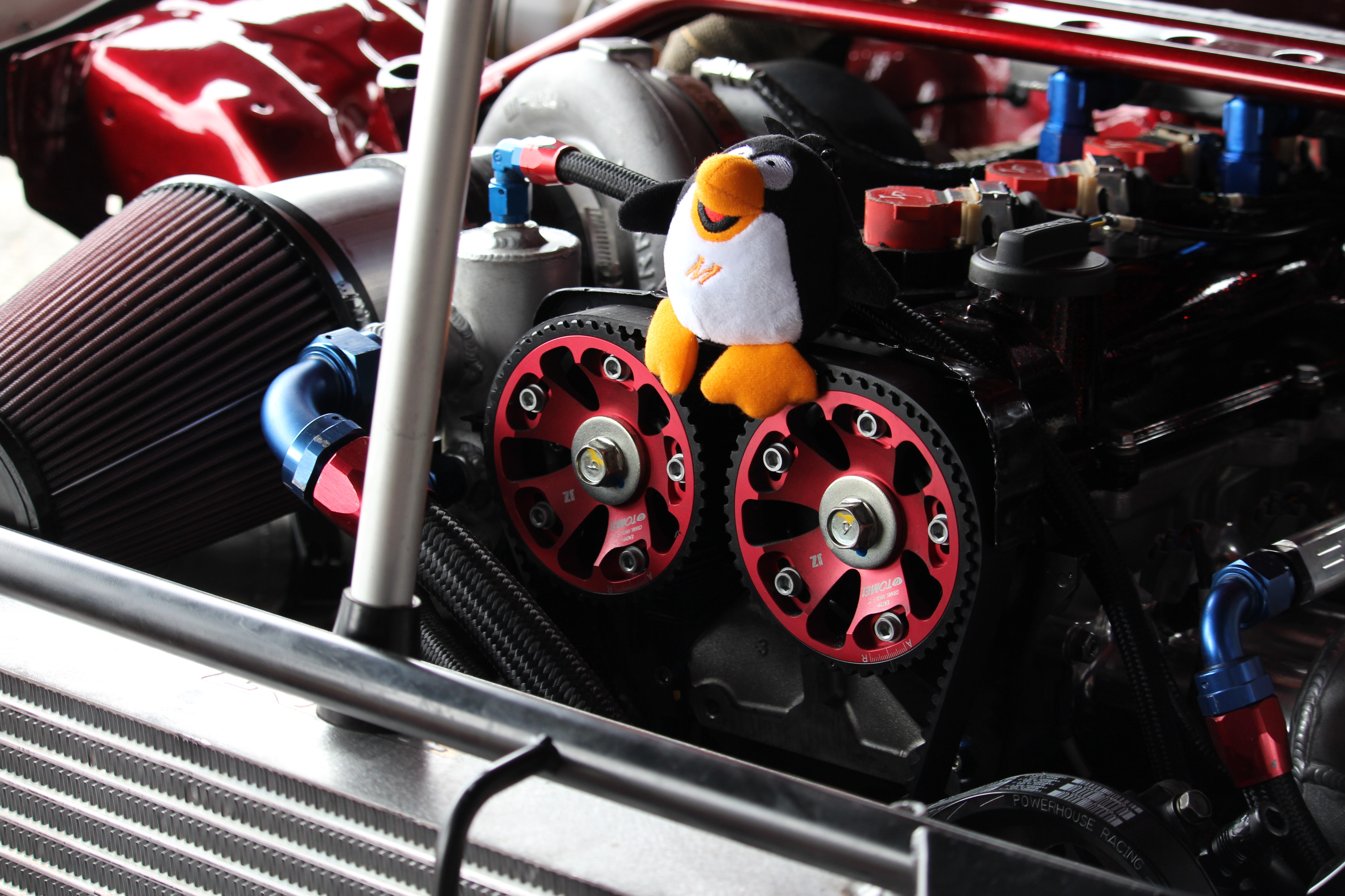 The Mighty Horse: What Is Horsepower?